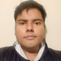 Nestor Meneses Pinto