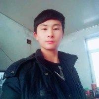 东北特