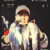 한인수
