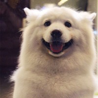 刘铭章