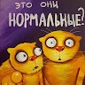 Олег Карпенков