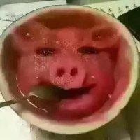 王希悦