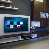 TV Repairs Service Pvt Ltd