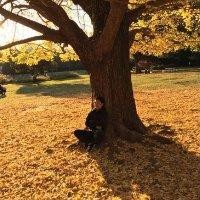 艾晓飞