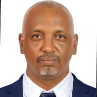 Hisham Abdelgaffar Mahmoud Ali