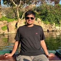 Ankit Dhingra