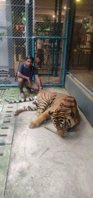 Ajay Verma