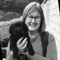 Liz Bunce