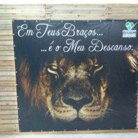 Nilson Rodrigues