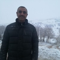Najat Zangana