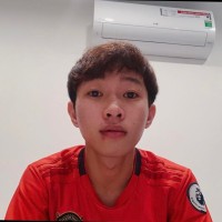 Ty Vo