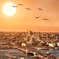 Turkey Code