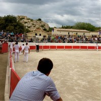 Joris Merletto