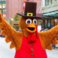 Teddy Turkey