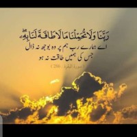 Farhat B.