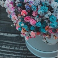 سناء العنزي