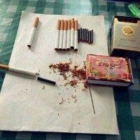 所正凯