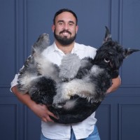 Gianfranco Rodriguez