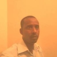 Hassan Haji