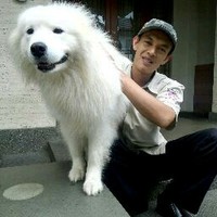 Agus Rohman
