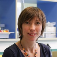 Cécilia Ménard-Moyon