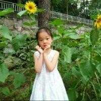 杨德芹