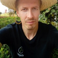 Tomaž Motaln