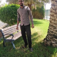 Mohammed Adil Hassan