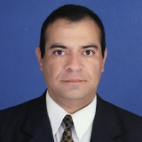 Nelson E Flores H Flores H