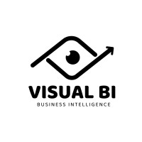 Visual BI