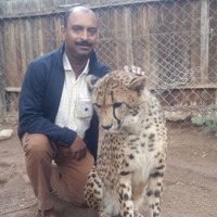 Vinod Odaniyil