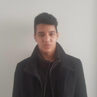 Ahmed A.