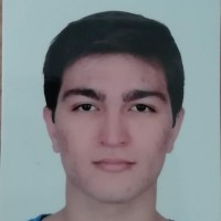 Yiğit Efe Başpınar