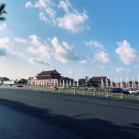 王丽伟