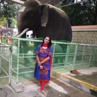 Sharada T M