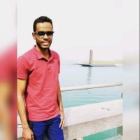 Mohamed Eltayeb