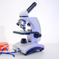 Abd. M. ,B.Sc.B. , MBA, PhD Candidate
