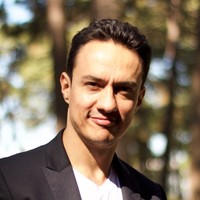 Pedro Palatnik