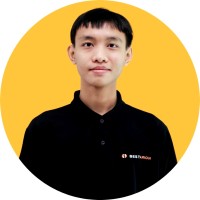 Sử Nguyễn