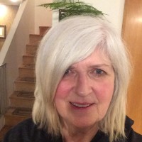 Diane Troelstrup