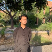 Muhammad Hassan Sajjad
