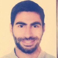 Bassem Naser aldine