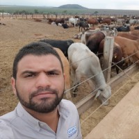 Wesley Barbosa