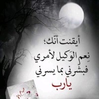 mohamed tahon
