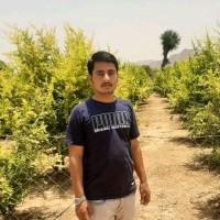 Narendra Jani