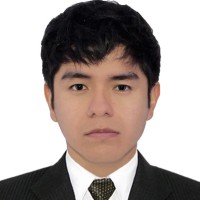 GIAN PIERRE JULIAN TORRES ROZAS