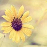 Flower Chen