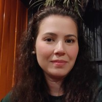 Ana Flávia Cardozo Luqui