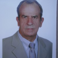 Domingos Ferreira Ferreira