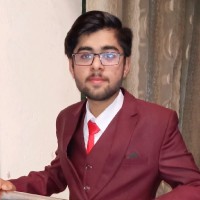 Ameer Hamza
